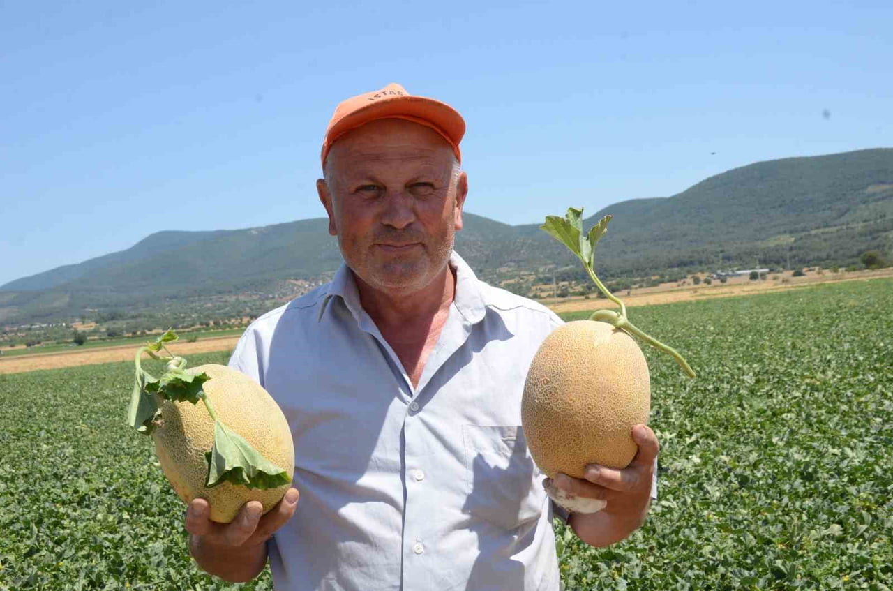MEDETLİ KÖYÜNDE KAVUN ÜRETİCİLİĞİ YAPAN GÜRCAN İLHAN