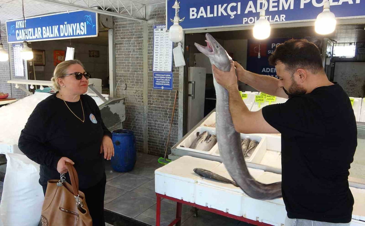 MERSİN'DE BALIKÇI TEZGAHINDA SERGİLENEN YAKLAŞIK 2 METRE UZUNLUĞUNDA VE 20 KİLOGRAM AĞIRLIĞINDAKİ...