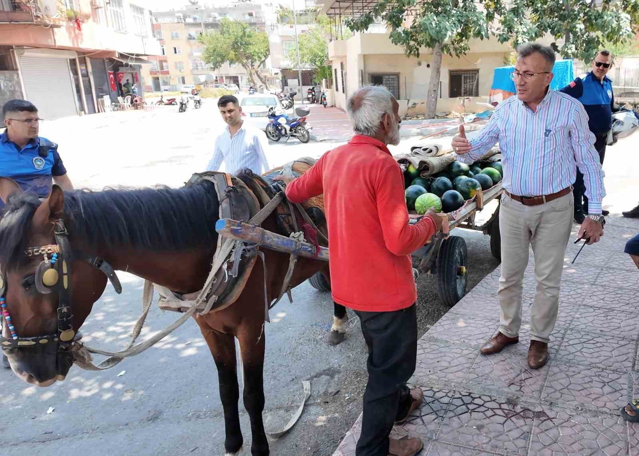 MERSİN'İN AKDENİZ İLÇESİNDE KARPUZ YÜKLÜ ARABAYI ÇEKERKEN AŞIRI SICAK VE YORGUNLUK NEDENİYLE YERE...