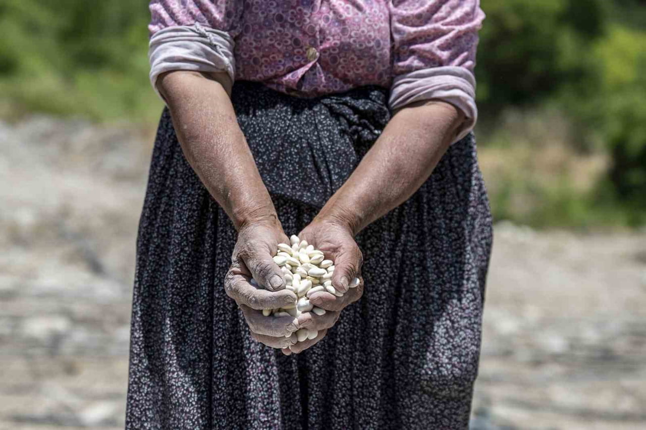 MERSİN BÜYÜKŞEHİR BELEDİYESİ, GÜLNAR İLÇESİNE ÖZGÜ ATALIK LEKLEK FASULYESİNİN ÜRETİMİNİ ARTIRMAK...