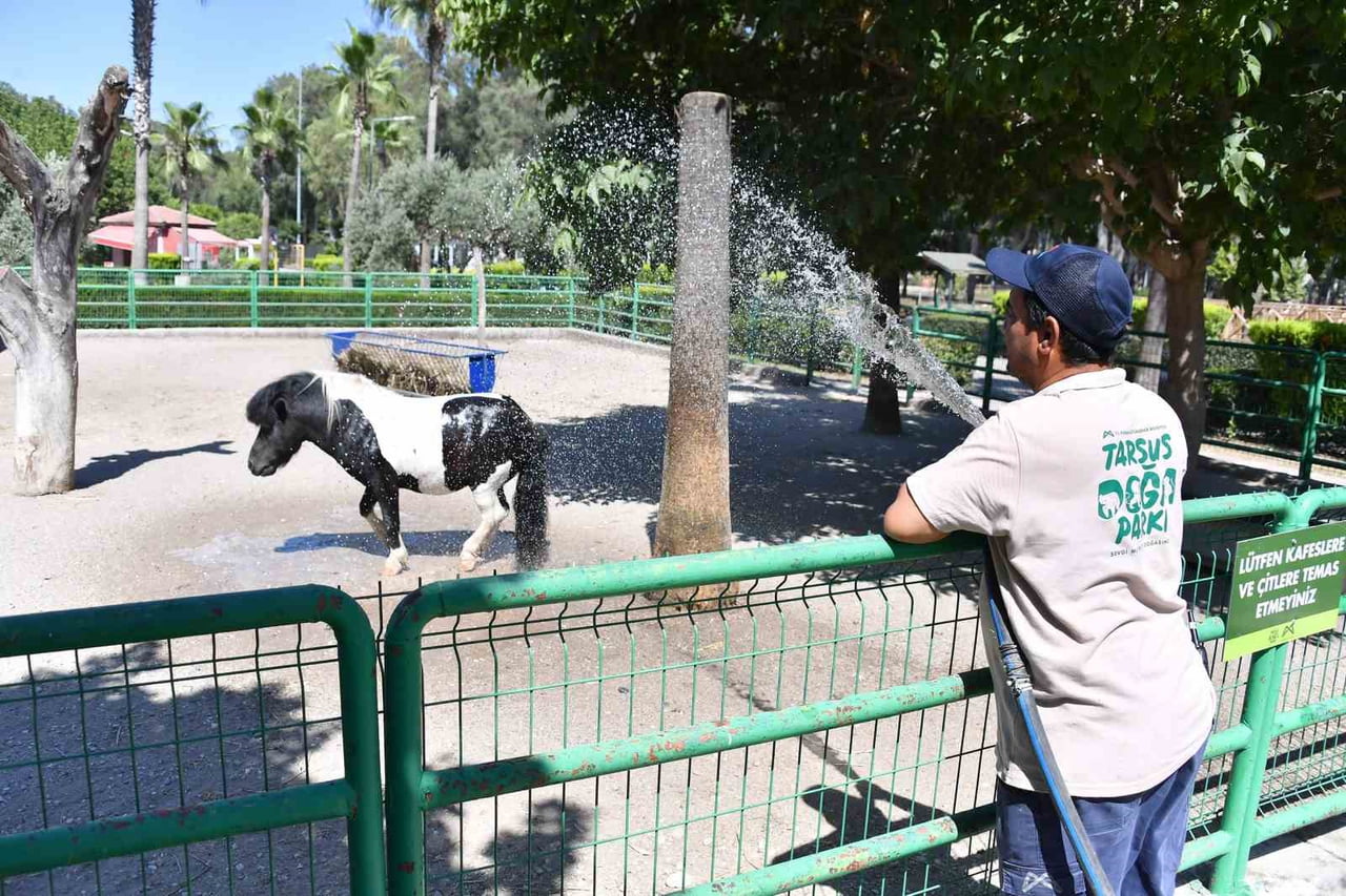 MERSİN BÜYÜKŞEHİR BELEDİYESİNE BAĞLI TARSUS DOĞA PARKI'NDA AŞIRI SICAKLARA KARŞI HAYVANLAR İÇİN...