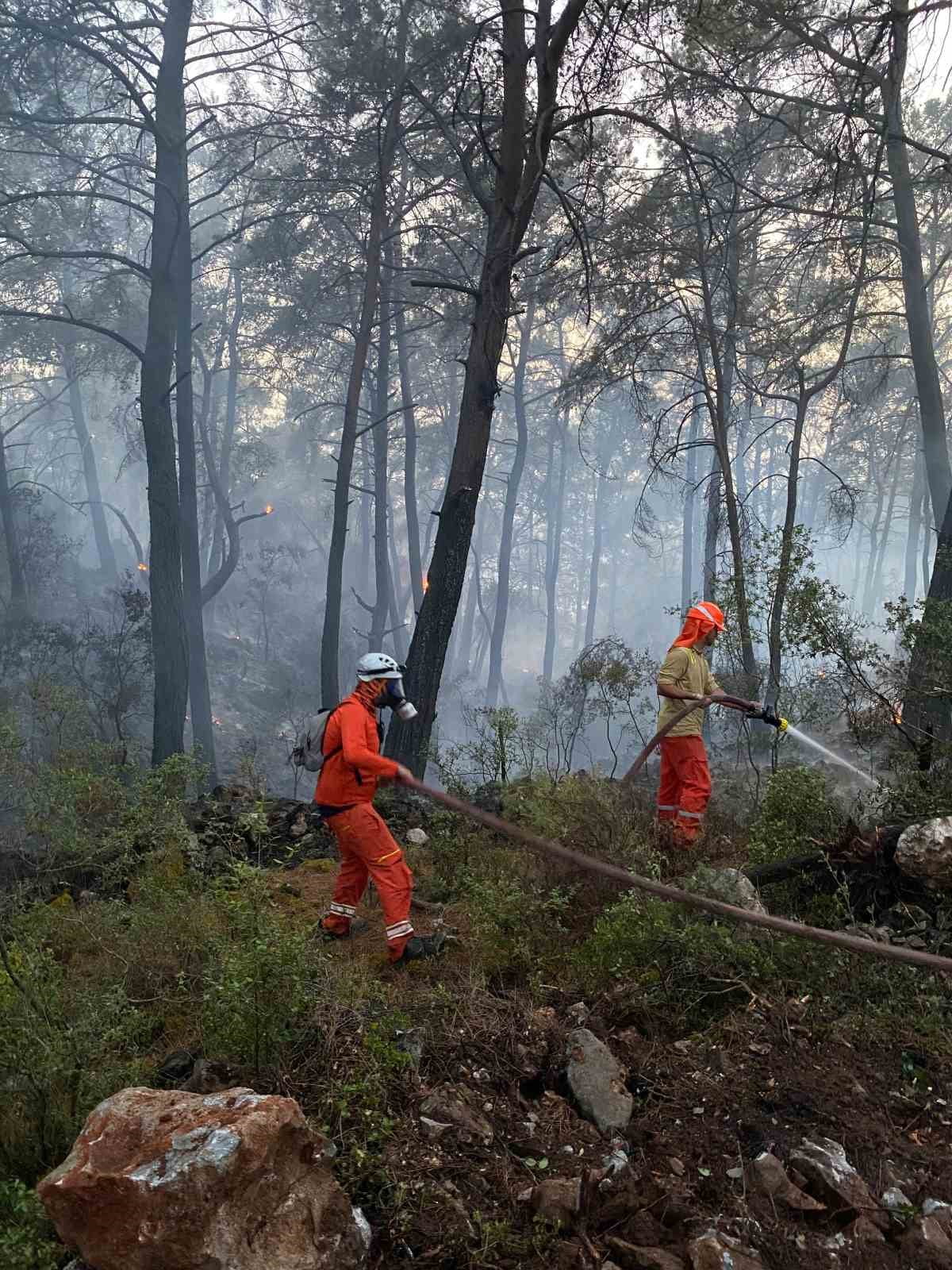 MUĞLA'NIN FETHİYE İLÇESİ GÖCEK MAHALLESİ YAKINLARINDA ÇIKAN ORMAN YANGININA DESTEK İÇİN...