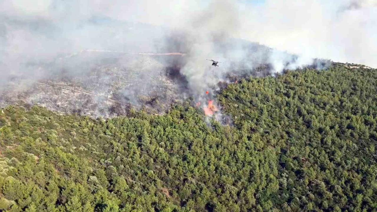 MUĞLA'NIN MİLAS İLÇESİNDE ORMANLIK ALANDA ÇIKAN YANGINA EKİPLERİN HAVADAN VE KARADAN MÜDAHALESİ...