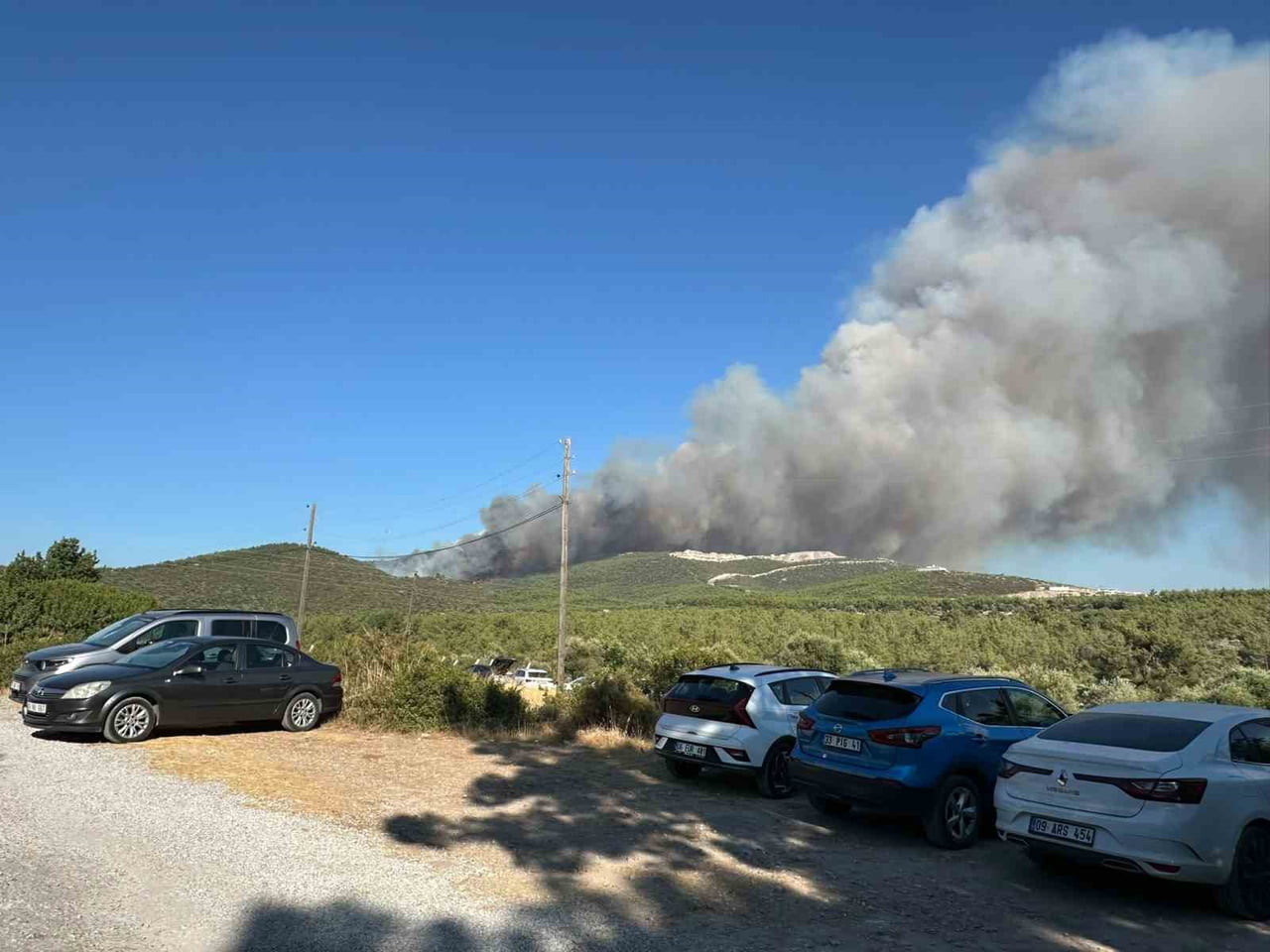 MUĞLA'NIN MİLAS İLÇESİNDE ORMANLIK ALANDA ÇIKAN YANGINA EKİPLERİN HAVADAN VE KARADAN MÜDAHALESİ...