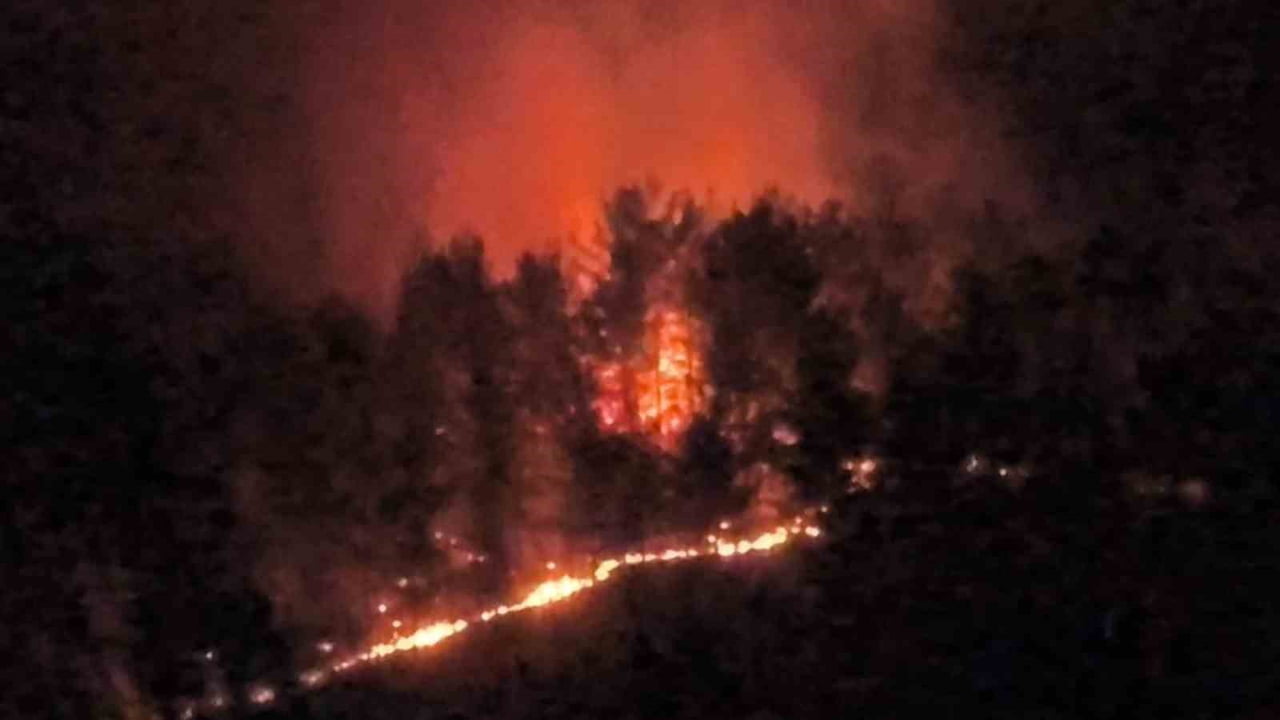 MUĞLA'NIN SEYDİKEMER İLÇESİNDE SABAH SAATLERİNDE ZİRAİ ALANDA BAŞLAYIP ŞİDDETLİ RÜZGARIN ETKİSİYLE...