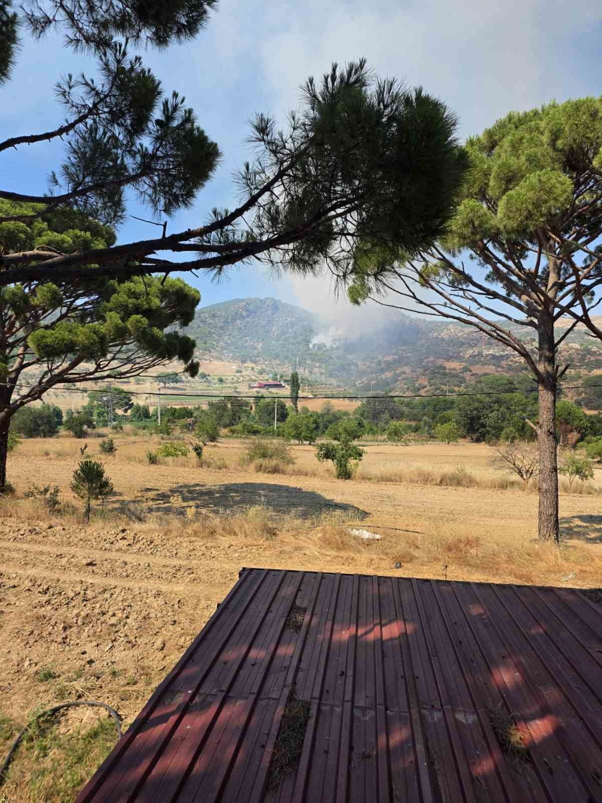 MUĞLA’DA ORMAN YANGINI