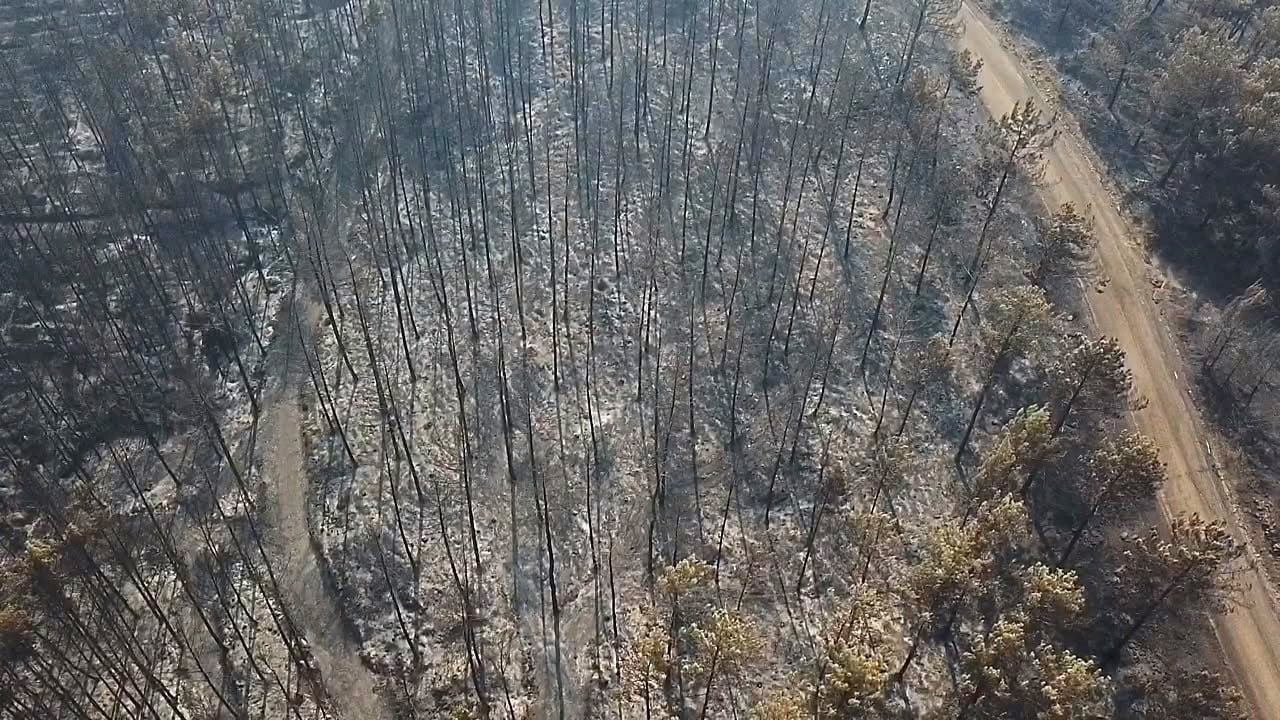 MUĞLA’NIN SEYDİKEMER İLÇESİNDE MEYDANA GELEN ORMAN YANGINININ ARDINDAN BÖLGEDE OLUŞAN TAHRİBAT...