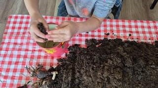 MUŞ'TA GÖREV YAPAN ÖĞRETMENLERİN ULUSLARARASI ORTAKLARLA YÜRÜTTÜĞÜ İKİ ETWİNNİNG PROJESİ BAŞARIYLA...