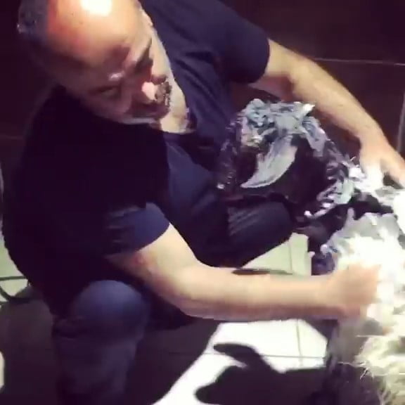 MUSTAFA ALTUNHAN, SICAKTAN BUNALAN KEÇİSİNİ SERİNLETMEK VE RAHATLATMAK İÇİN EVİNİN BANYOSUNDA...