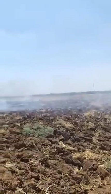 NUSAYBİN İLÇESİNDE ÇIKAN ANIZ YANGINI, İTFAİYE EKİPLERİNİN MÜDAHALESİYLE KONTROL ALTINA...