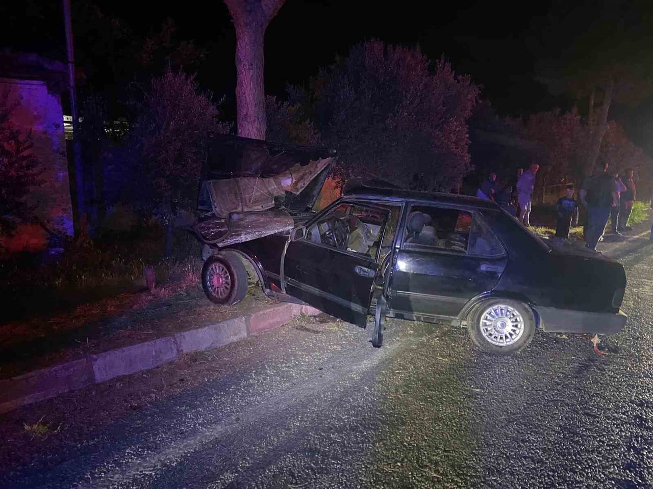 ÖDEMİŞ İLÇESİNDE, ÖNÜNE ÇIKAN SOKAK KÖPEĞİNE ÇARPMAMAK İÇİN MANEVRA YAPAN OTOMOBİLİN YOL...