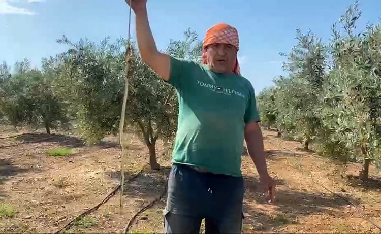 OLAY, 30 NİSAN'DA SERİK İLÇESİNE BAĞLI KÜRÜŞ MAHALLESİ'NDE YAŞAND