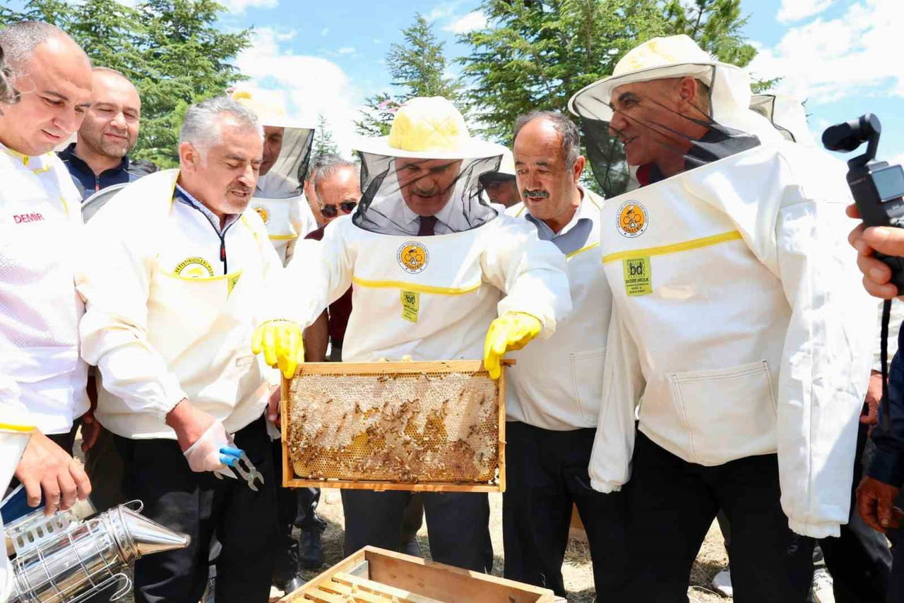 ONYA'NIN BEYŞEHİR İLÇESİNE BAĞLI DOĞANBEY MAHALLESİ'NDEKİ LADİN ORMANLARI, GELENEKSEL BAL HASADI...