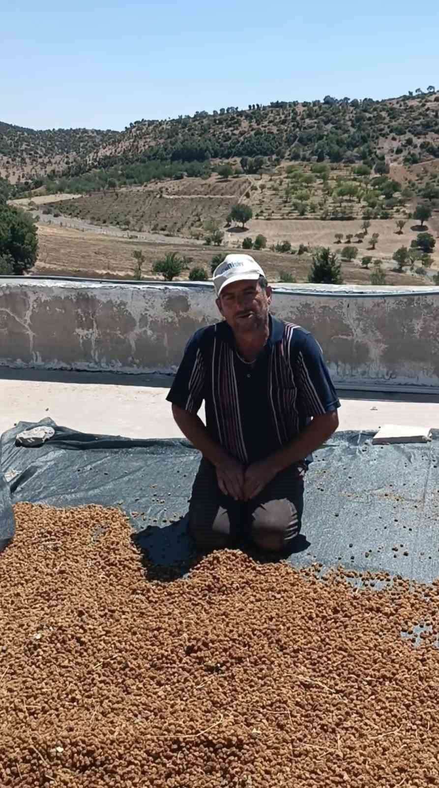 ORHAN ALDAĞ İSİMLİ VATANDAŞ, BU YILIN DUT SEZONU OLARAK OLDUKÇA BEREKETLİ GEÇTİĞİNİ BELİRTEREK...