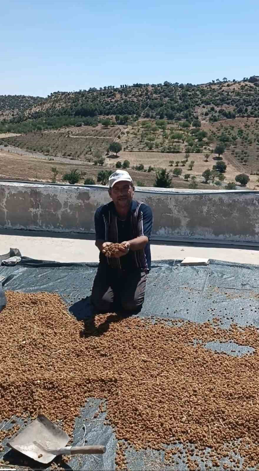 ORHAN ALDAĞ İSİMLİ VATANDAŞ, BU YILIN DUT SEZONU OLARAK OLDUKÇA BEREKETLİ GEÇTİĞİNİ BELİRTEREK...