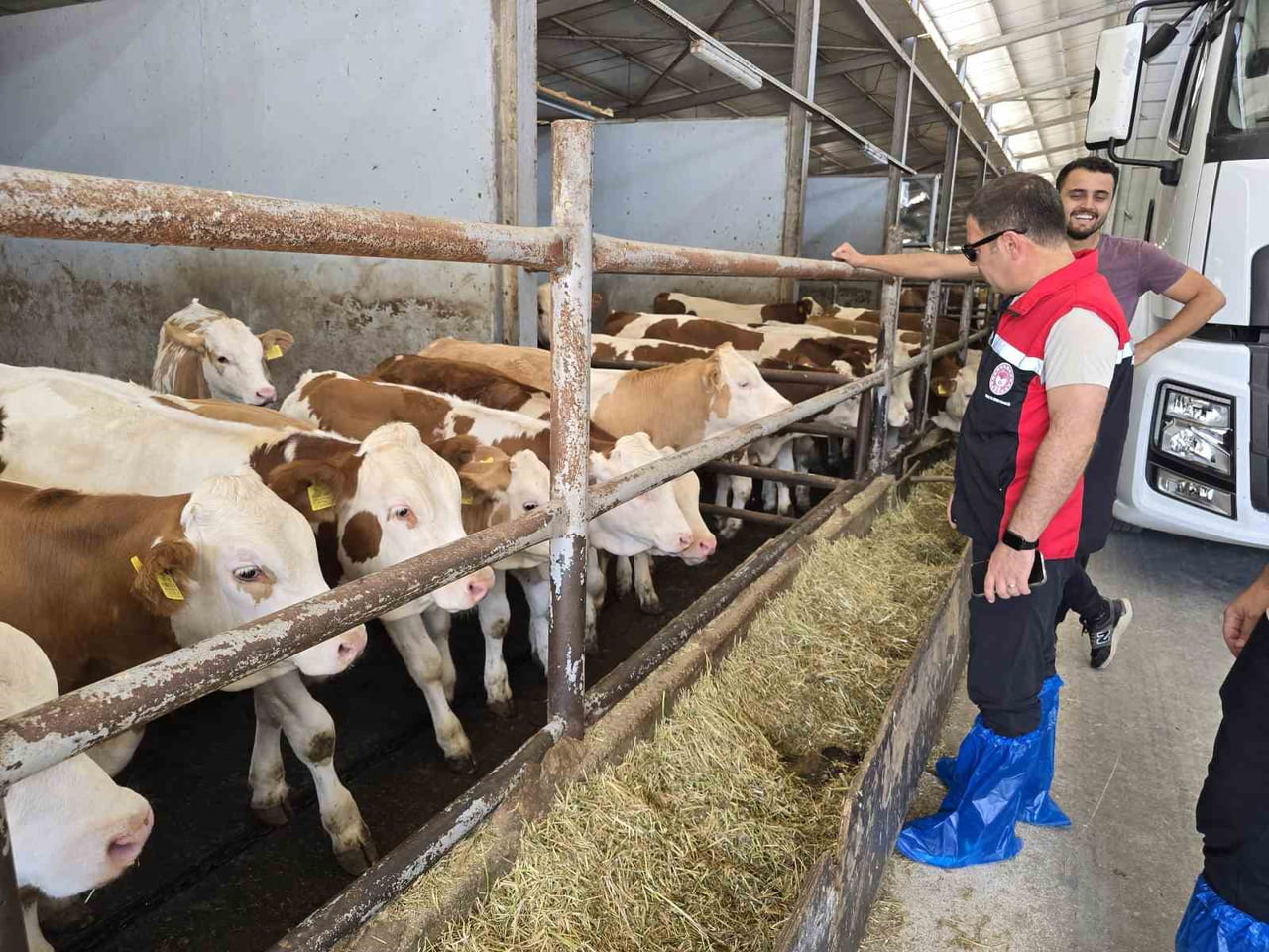 ORHANELİ İLÇESİ VE MAHALLELERİNDE HAYVANCILIKLA UĞRAŞAN, BÜYÜKBAŞ VE KÜÇÜKBAŞ HAYVAN YETİŞTİREN...