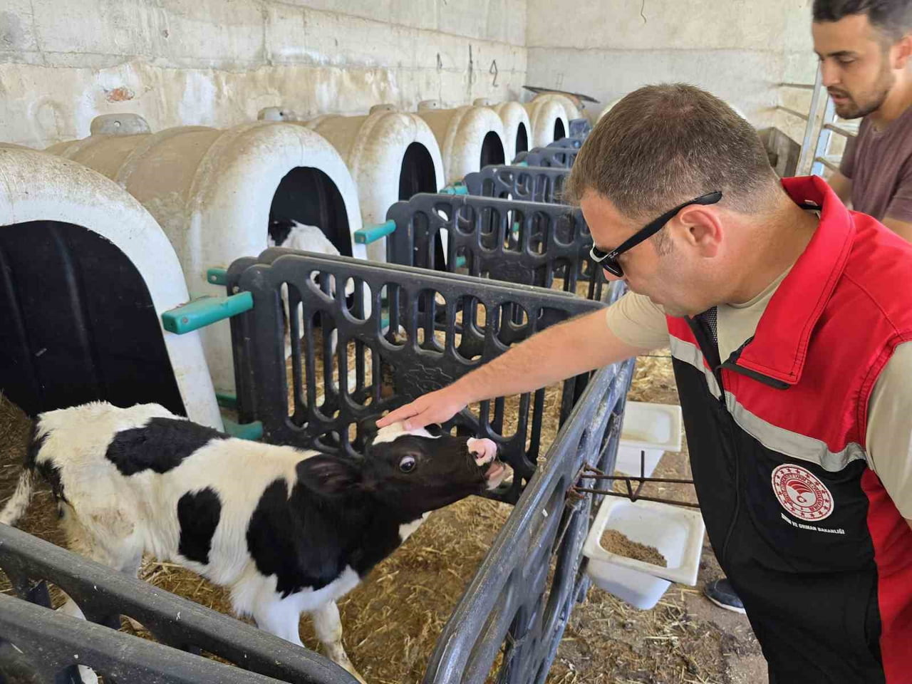 ORHANELİ İLÇESİ VE MAHALLELERİNDE HAYVANCILIKLA UĞRAŞAN, BÜYÜKBAŞ VE KÜÇÜKBAŞ HAYVAN YETİŞTİREN...