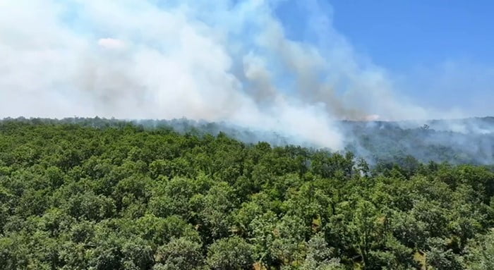 ORMAN YANGINI HAVADAN VE KARADAN MÜDAHALEYLE SÖNDÜRÜLDÜ
