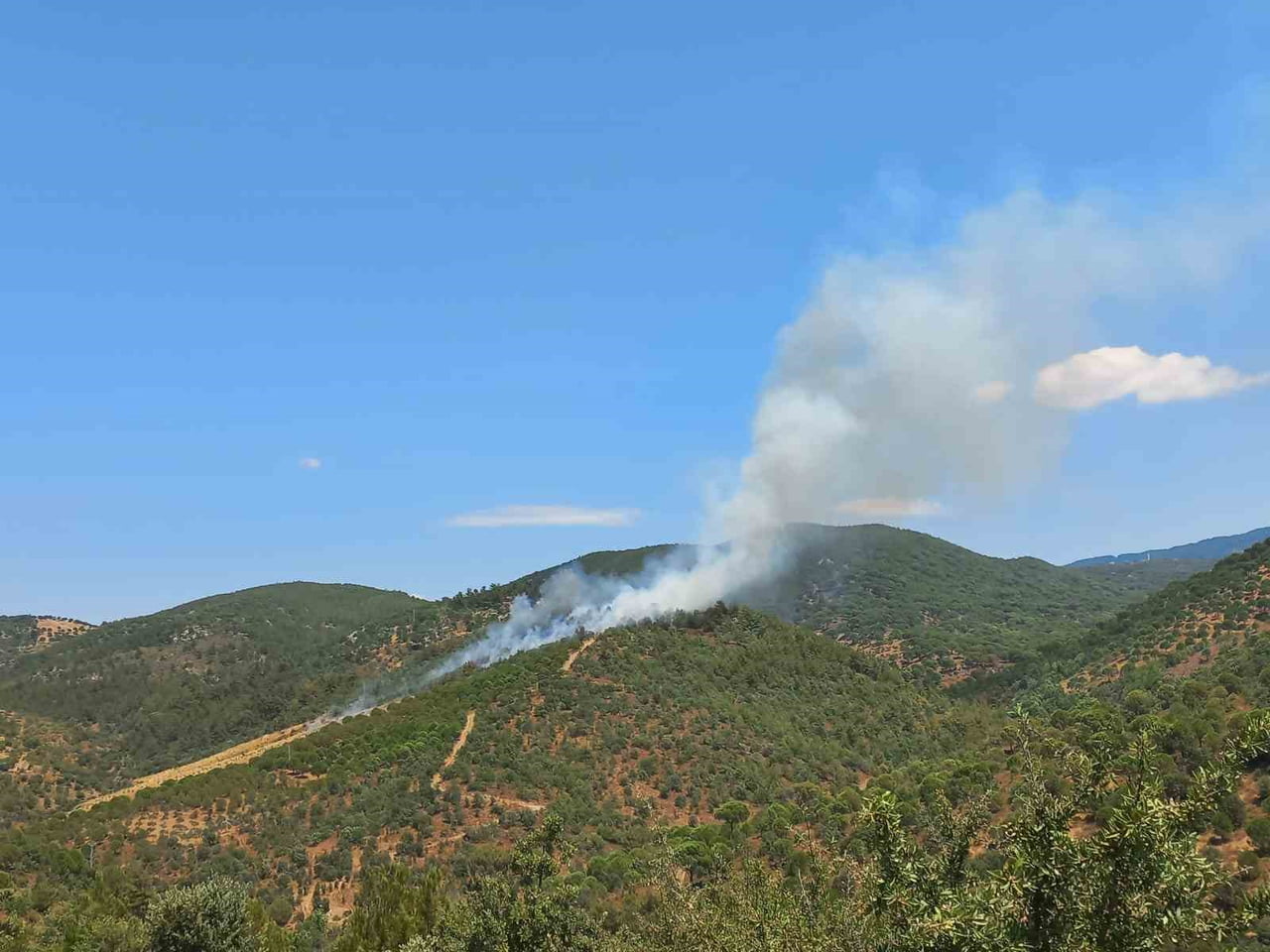 ORMAN YANGININA MÜDAHALE