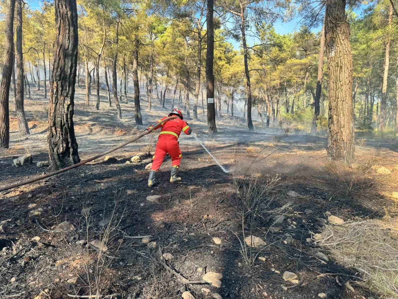 ORTACA YANGINI 3 HEKTARDA KONTROL ALTINA ALINMIŞTI