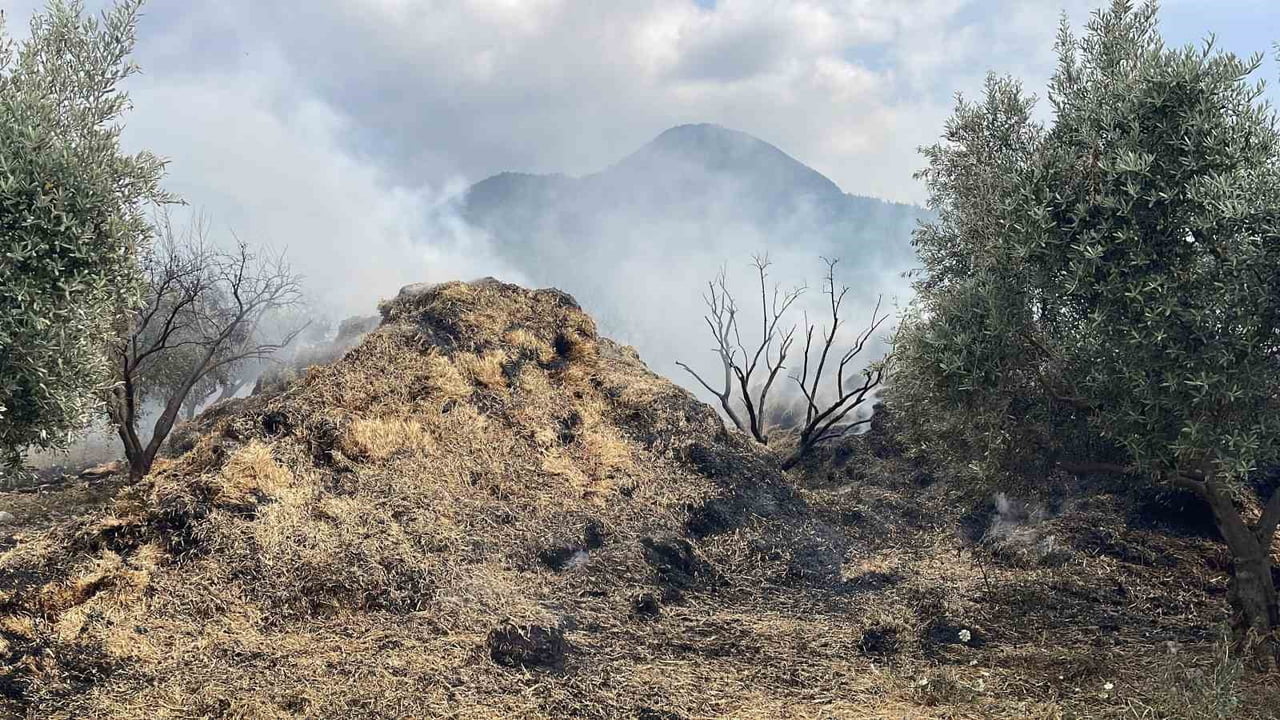 OSMANİYE’DE BAHÇEDEKİ SAMAN BALYALARI YANDI, ZEYTİN FİDANLARI ZARAR GÖRDÜ