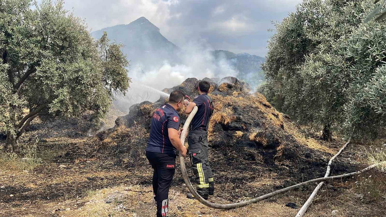 OSMANİYE’DE BAHÇEDEKİ SAMAN BALYALARI YANDI, ZEYTİN FİDANLARI ZARAR GÖRDÜ