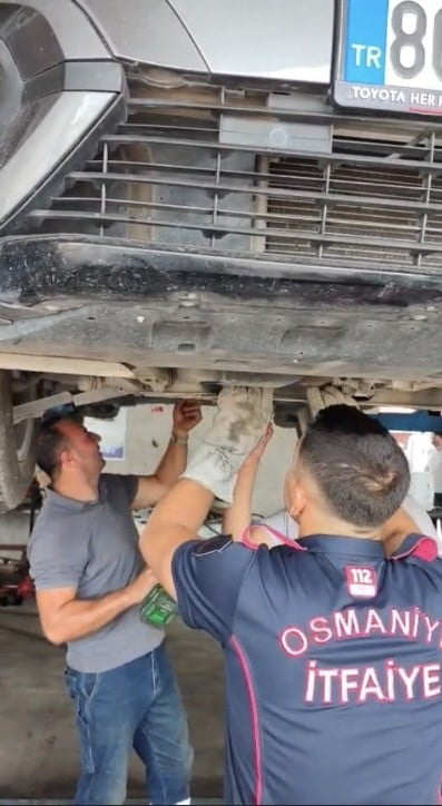 OSMANİYE’DE OTOMOBİLİN MOTORUNA SIKIŞAN YAVRU KEDİ KURTARILDI