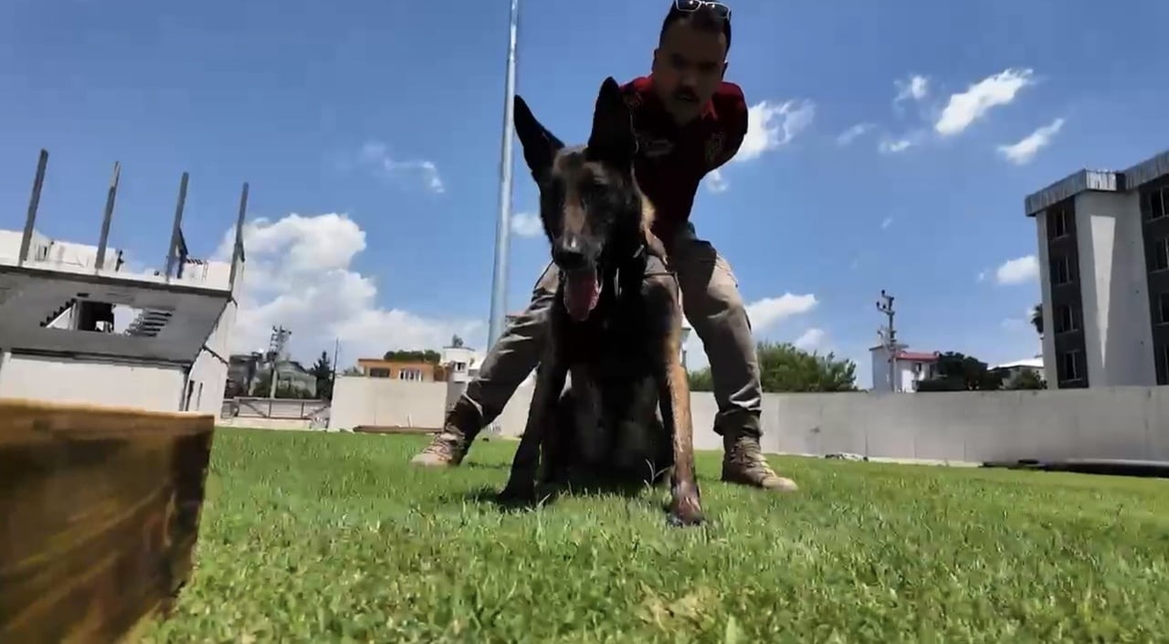 OSMANİYE NARKOTİK KÖPEĞİ ‘JARDİ’ 2026 YILINDA ÜÇÜNCÜ KEZ ZİRVEDE