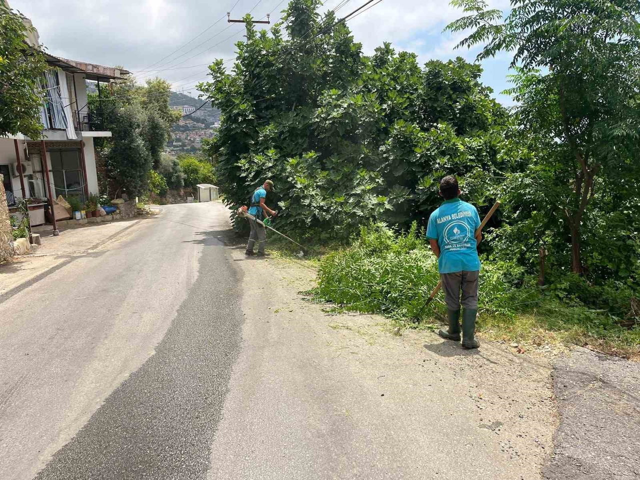 OT TEMİZLİĞİ ÇALIŞMALARLA YANGIN RİSKİNİN AZALTILMASI, ÇEVRE DÜZENİNİN KORUNMASI VE KENT...