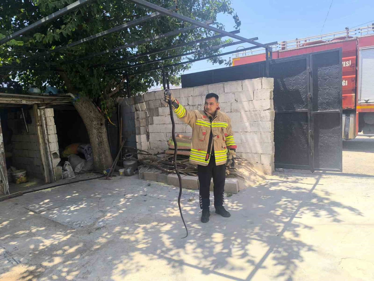 PANİĞE NEDEN OLAN YILANLAR, İTFAİYE TARAFINDAN APARAT YARDIMIYLA YAKALANDI.
