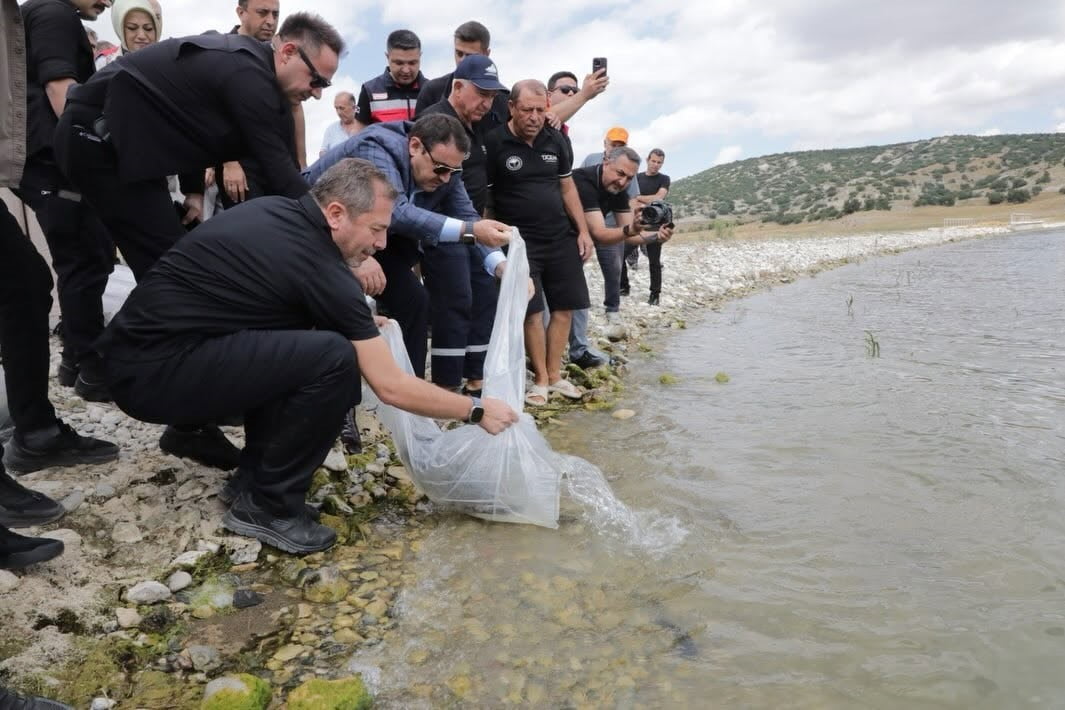 PORSUK BARAJI GÖLETİ'NE 107 BİN 500 BALIK YAVRUSU BIRAKILDI