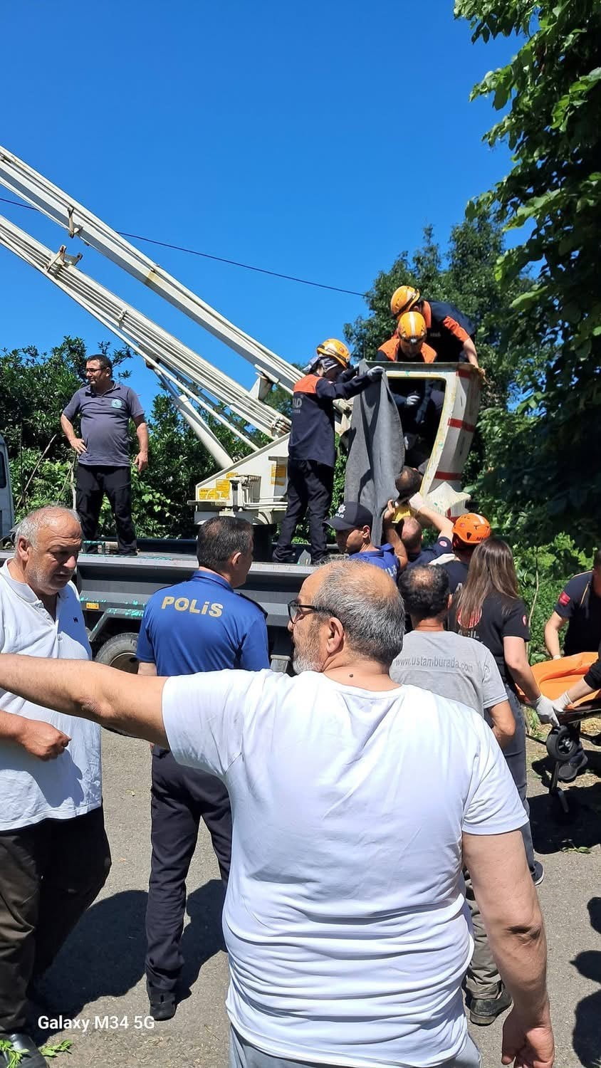 RİZE’DE IHLAMUR TOPLARKEN KESTİĞİ DALIN ELEKTRİK DİREĞİNE TEMAS ETMESİ SONCUSU AKIMA KAPILAN...