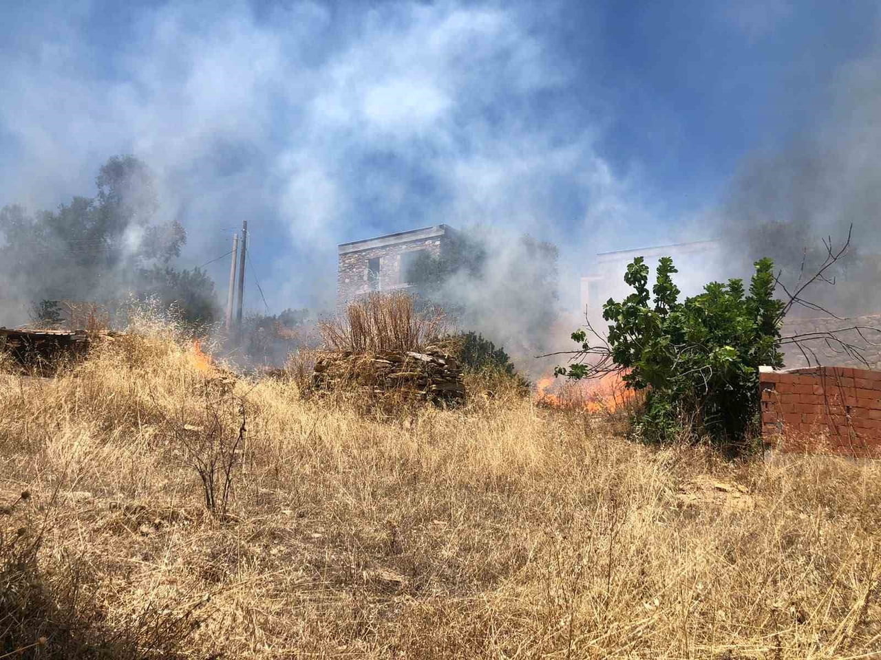 RÜZGARIN BÜYÜTTÜĞÜ YANGIN 1 SAATTE SÖNDÜRÜLDÜ