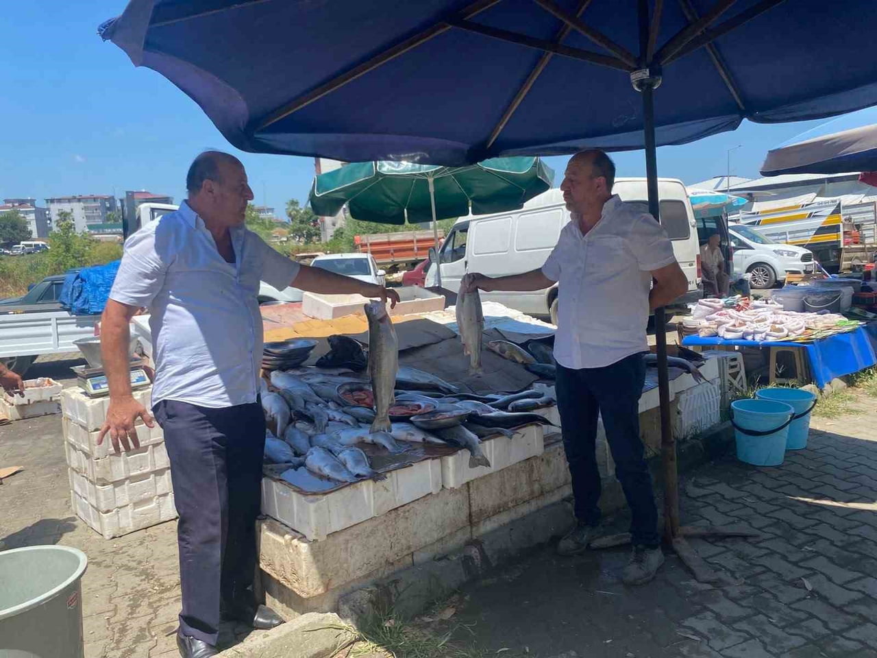 SABAHIN İLK IŞIKLARIYLA BALIK HALİNE GİDEN KARDEŞLER, TAZE BALIKLARI VATANDAŞLARLA BULUŞTURARAK...
