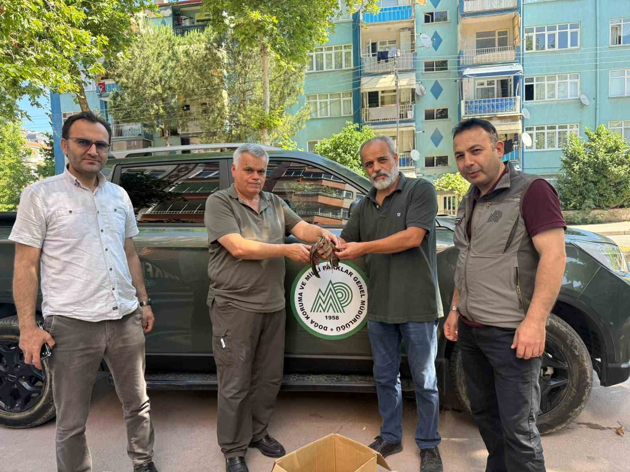 SAMSUN'DA AVCILAR, SİTE BAHÇESİNDE YARALI HALDE BULDUKLARI ORMAN ÇULLUĞUNU TEDAVİ EDİLMESİ İÇİN...