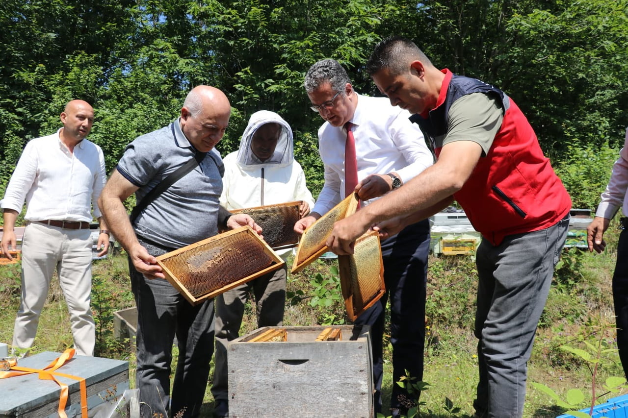 SAMSUN'UN DOĞAL ZENGİNLİKLERİ ARASINDA ÖNEMLİ BİR YERE SAHİP OLAN COĞRAFİ İŞARET TESCİLLİ...