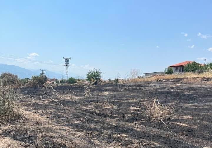 SARIGÖL İLÇE TARIM VE ORMAN MÜDÜRÜ AHMET AKAR, KUVVETLİ RÜZGÂR, DÜŞÜK NEM VE AŞIRI SICAKLIK...