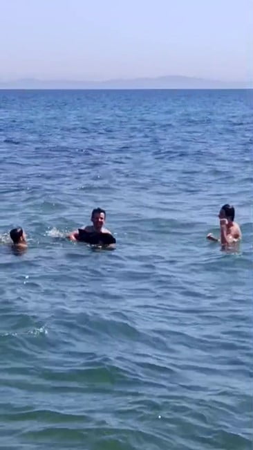 ŞARKÖY İLÇESİNDE DENİZDE YÜZEN VATANDAŞLAR, YANLARINA KADAR GELEN YAVRU YUNUSUN SÜRPRİZİYLE...