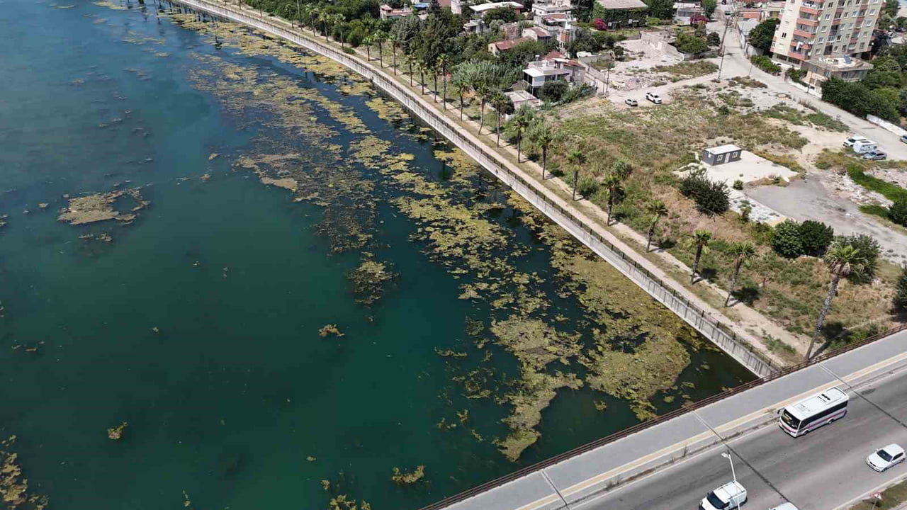 SEYHAN NEHRİ YÜZEYİNİ KAPLAYAN PET ŞİŞE, CAM ŞİŞE, POŞET VE ÇEŞİTLİ ATIKLAR KÖTÜ GÖRÜNTÜ...
