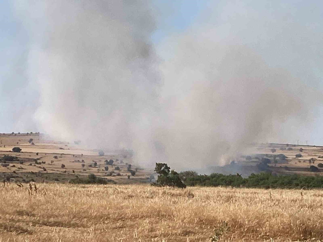 SEYİTGAZİ'DE ÇIKAN YANGIN 3 KÖYÜN OVALARINA YAYILDI, ORMANA DOĞRU İLERLİYOR