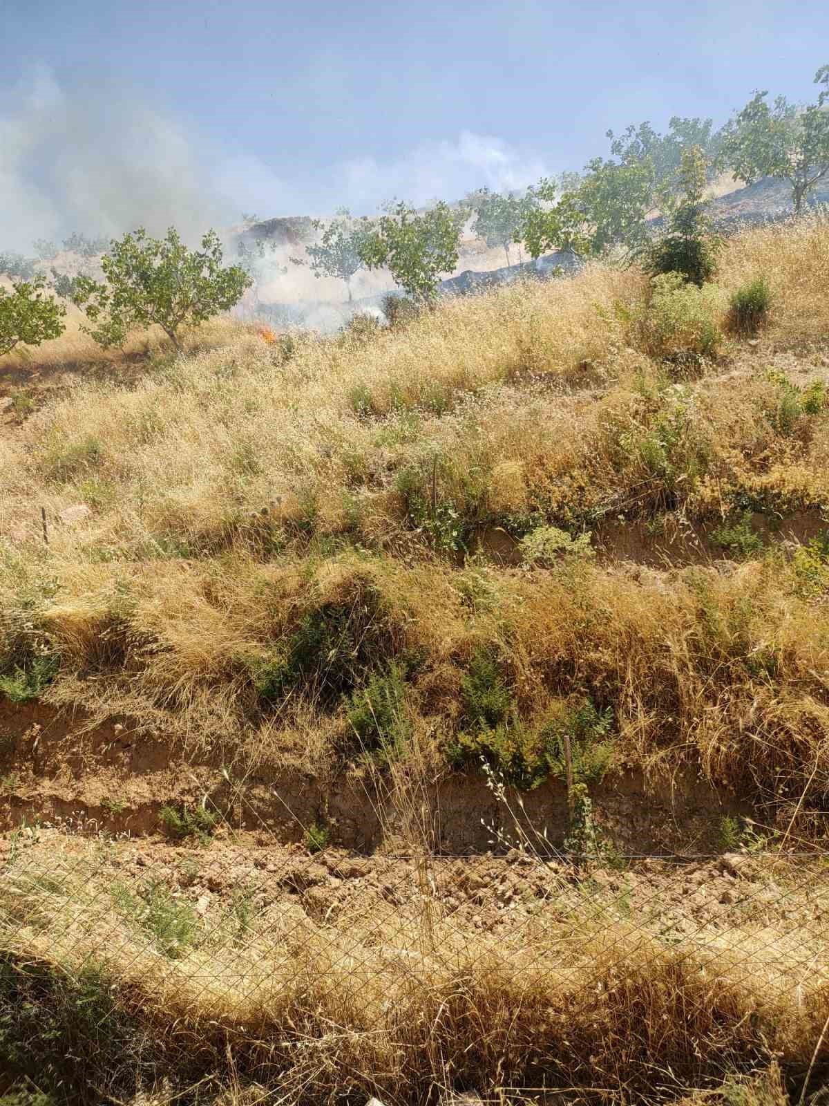 SİİRT’İN KURTALAN İLÇESİNE BAĞLI OYACIK  KÖYÜNDE BULUNAN BİR FISTIK BAHÇESİNDE ÇIKAN YANGINDA 95...