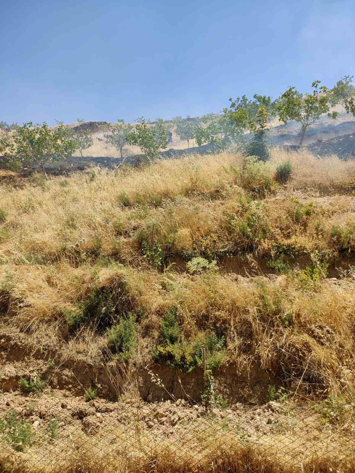 SİİRT’İN KURTALAN İLÇESİNE BAĞLI OYACIK  KÖYÜNDE BULUNAN BİR FISTIK BAHÇESİNDE ÇIKAN YANGINDA 95...