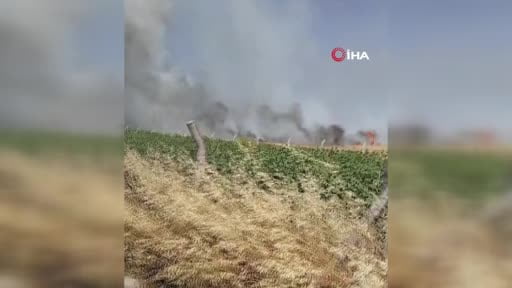 Silivri'de elektrik direği kesimi sırasında yangın: Ekili araziler zarar gördü