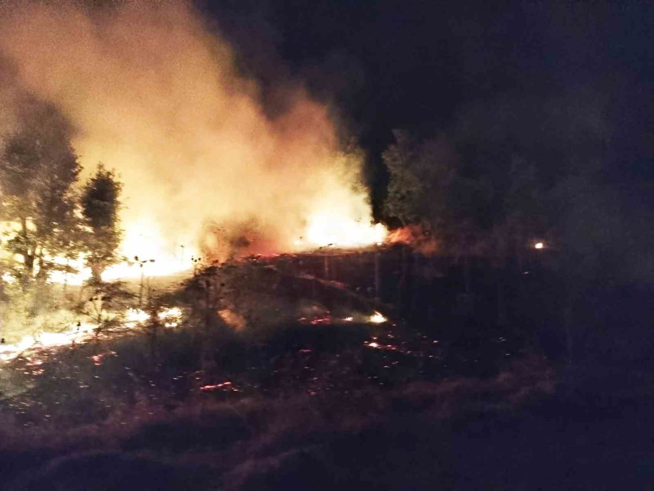 ŞIRNAK'IN BESTLER DERELER BÖLGESİNDE 120 DÖNÜM EKİLİ BUĞDAY TARLASI, ÇIKAN YANGINDA KÜL...