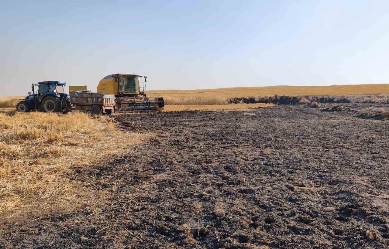 ŞIRNAK’IN CİZRE İLÇESİNDE, CİZRE-ŞIRNAK KARAYOLU TÜNEL GİRİŞİ MEVKİİNDE ARAZİDE UYUDUĞU SIRADA...