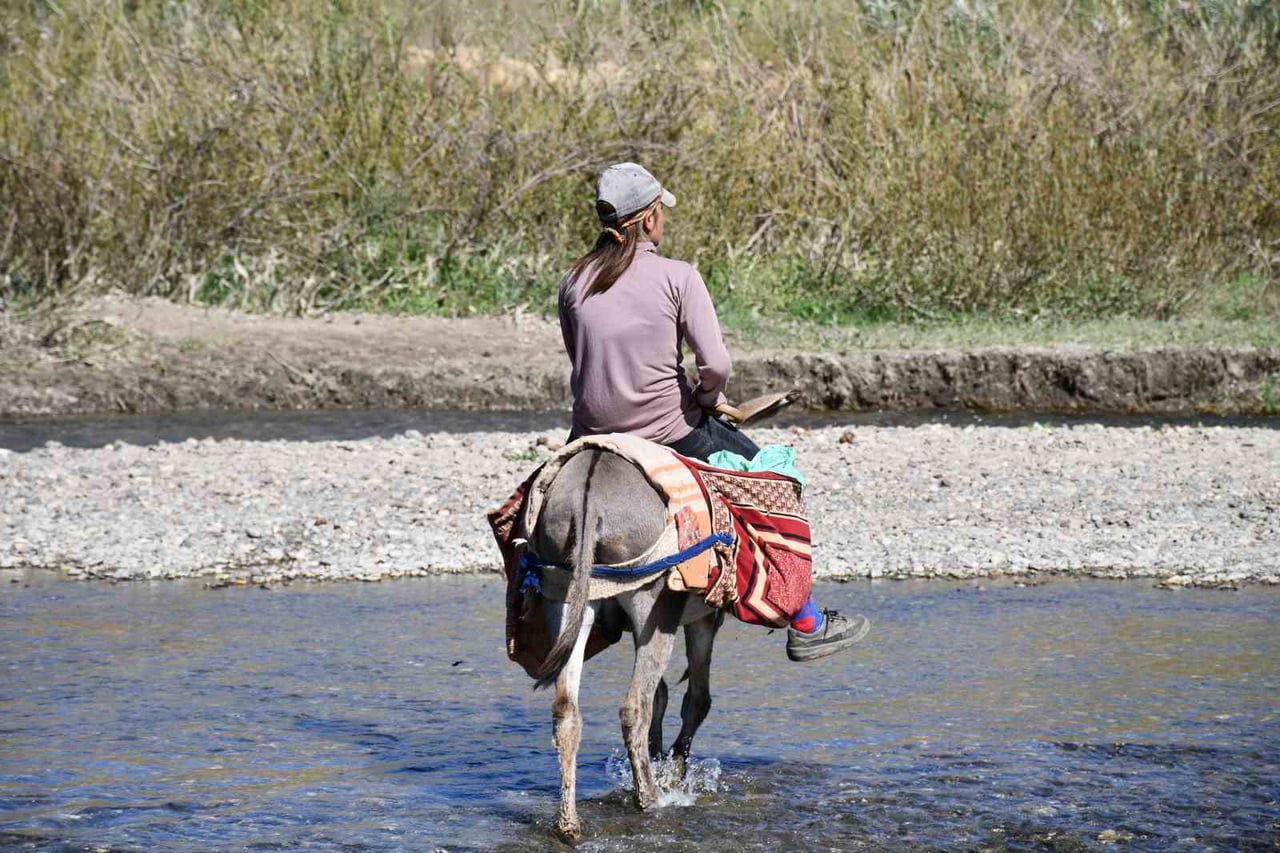 ŞIRNAK YAYLALARI BU YIL GÖÇER AKININA UĞRADI.