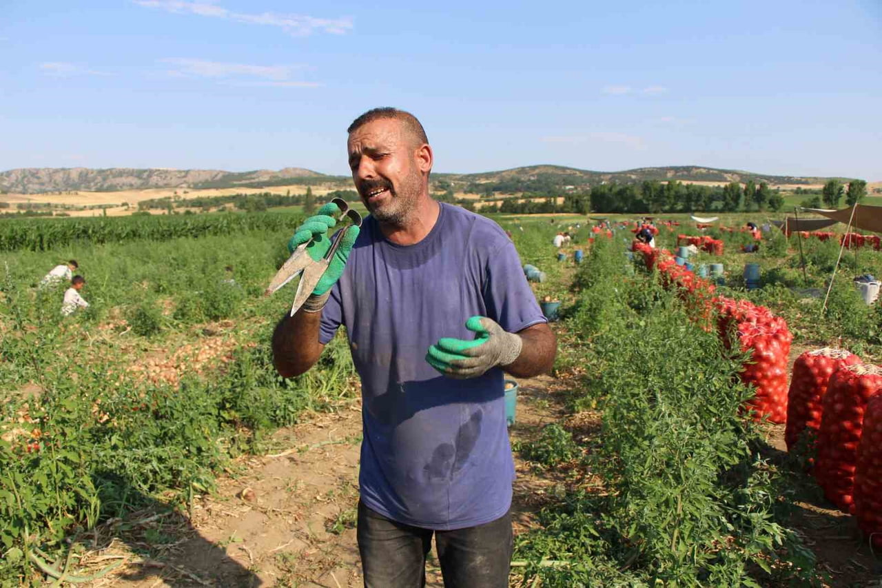 SOĞAN MAKASINI MİKROFON GİBİ TUTUP ŞARKI İLE TÜRKÜLERİ YANIK SESİYLE SESLENDİREN EVLİ VE 8 ÇOCUK...