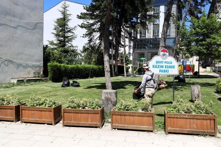 SÖĞÜT'TE ÇİM BİÇME VE İLAÇLAMA ÇALIŞMALARI ARALIKSIZ DEVAM EDİYOR