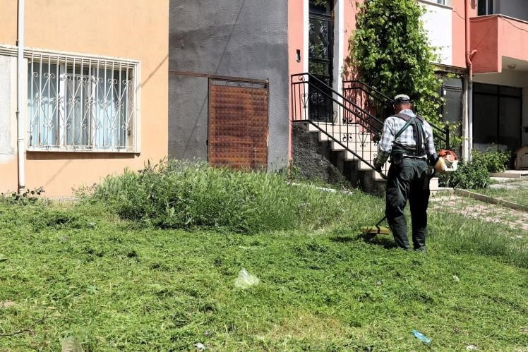 SÖĞÜT'TE ÇİM BİÇME VE İLAÇLAMA ÇALIŞMALARI ARALIKSIZ DEVAM EDİYOR