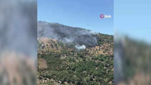 Sultanhisar’da makilik ve orman yangını
